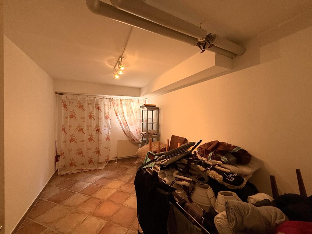 Wohnkeller/Zimmer mit Tageslicht