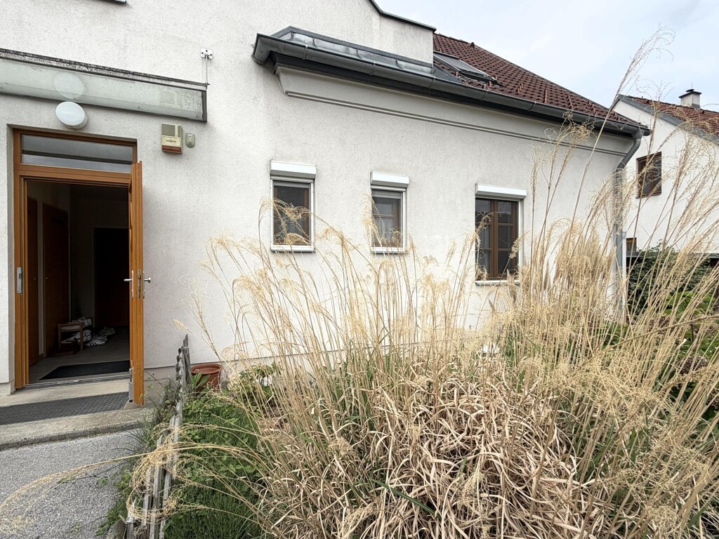 Strassenansicht/Vorgarten