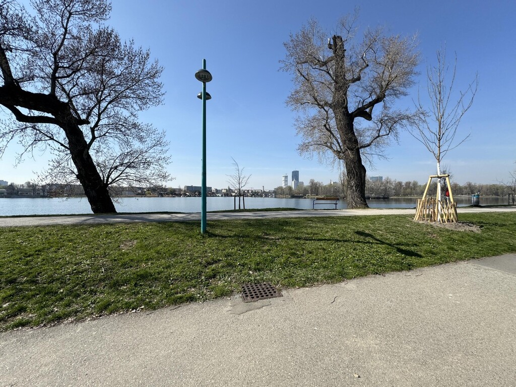 Nur 20 m vom Ufer der unteren alten Donau