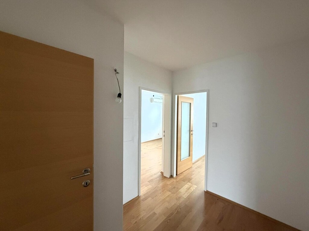 Eingang/Verbidungsflur