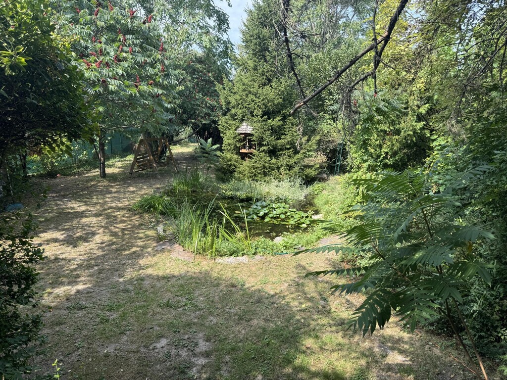 Teich im Garten