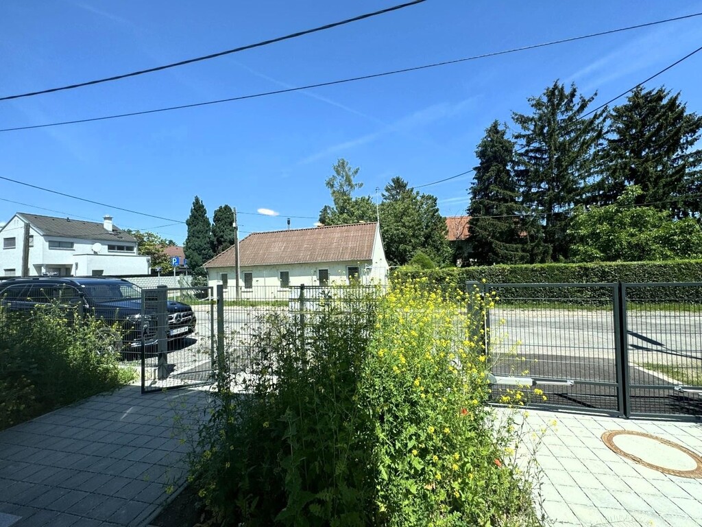 Ausblick in die Einfahrt