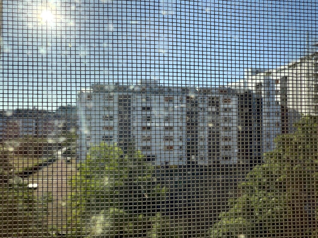 Ausblick vom Schlafzimmer/Insektengitter