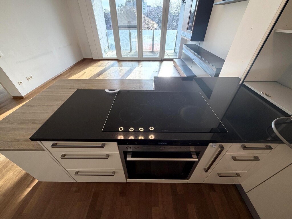 Wohn-/Essküche/Detail-Kochherd