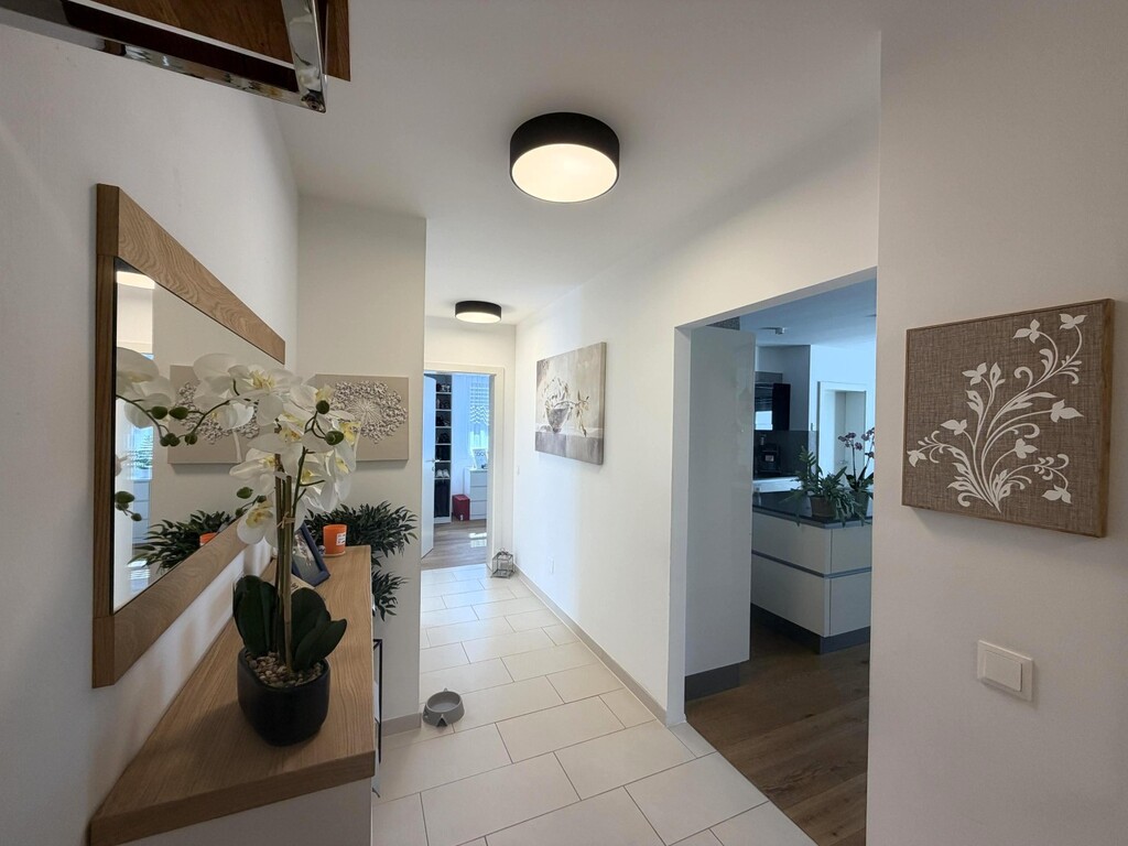 Wohnungseingang/Flur/Living