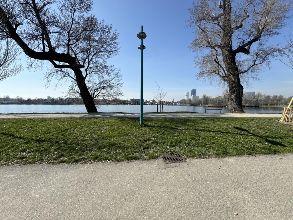 Nur 20 m vom Ufer der unteren alten Donau