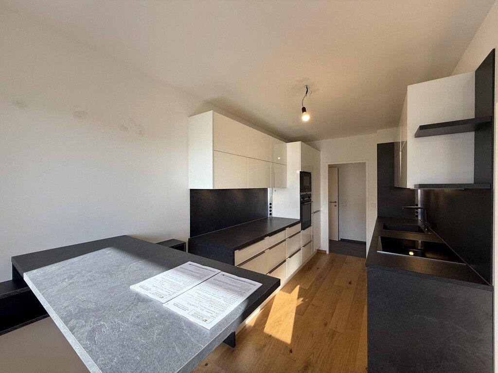 moderne Küche mit angeschlossenem Wohnzimmer