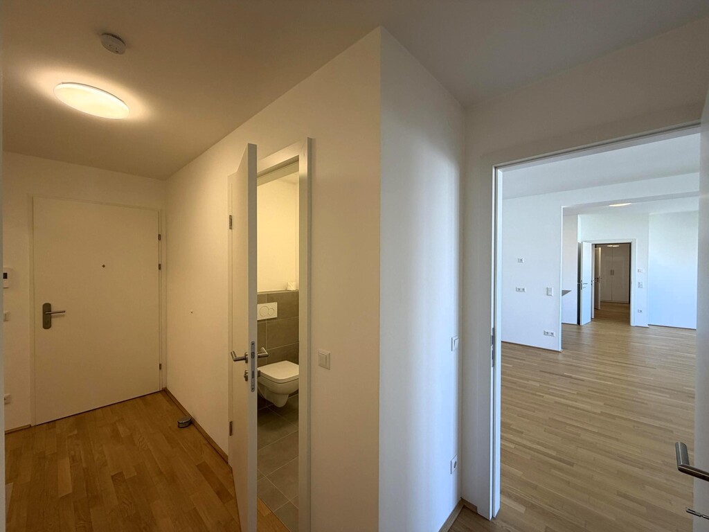 Wohnungseingang 1/2, Blick ins Living