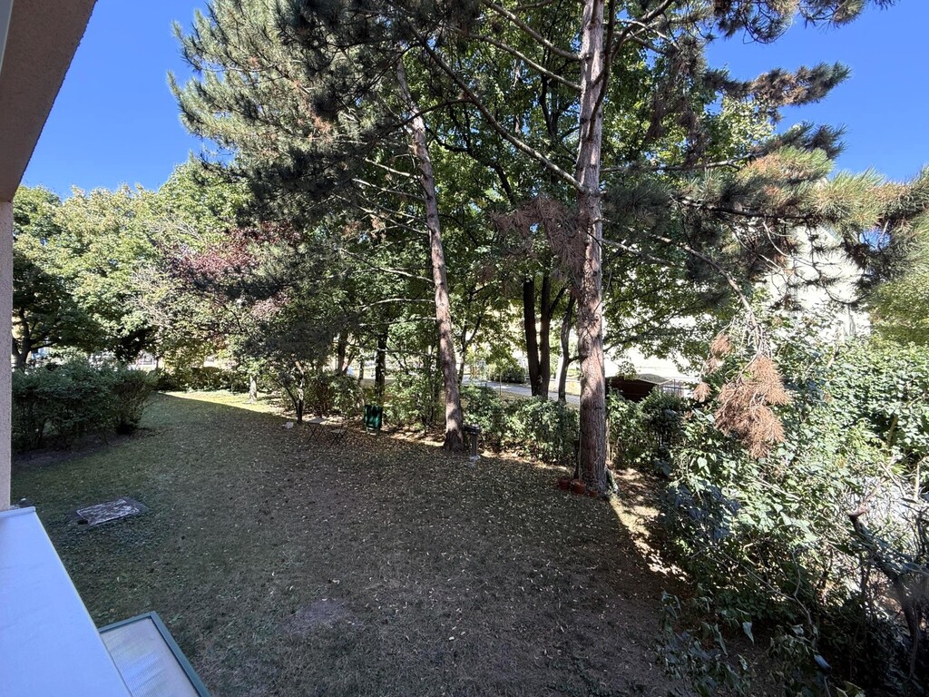 Gemeinschaftsgarten/Blick aus dem Wohnzimmer