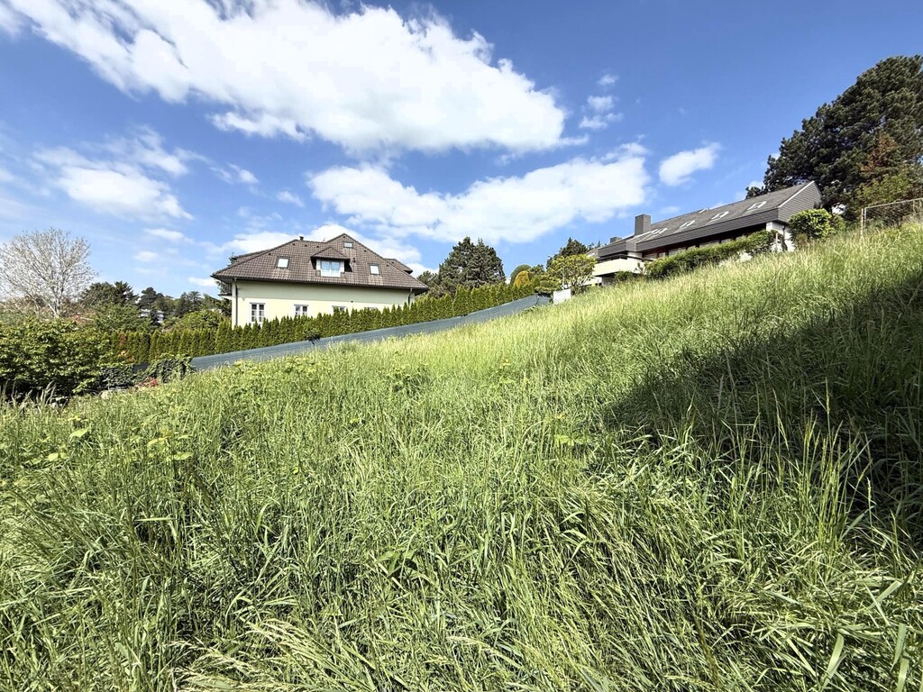 süd-westliche Ansicht des Baugrundstücks