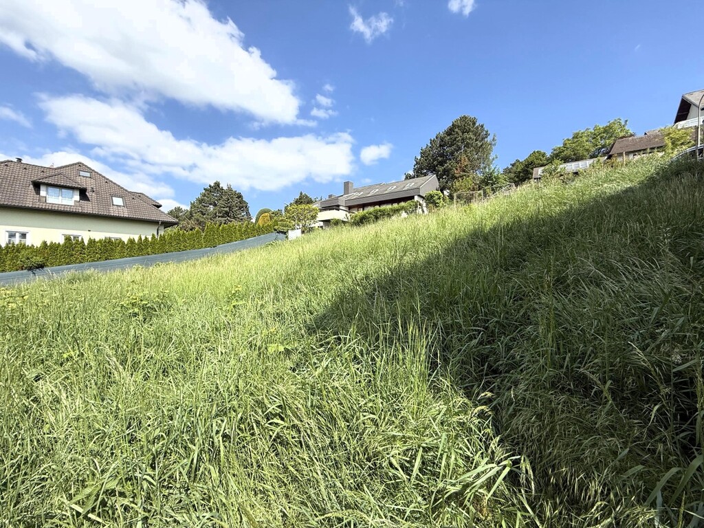 süd-westliche Ansicht des Baugrundstücks