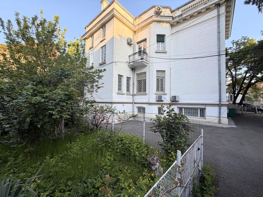 Vedere laterala din gradina