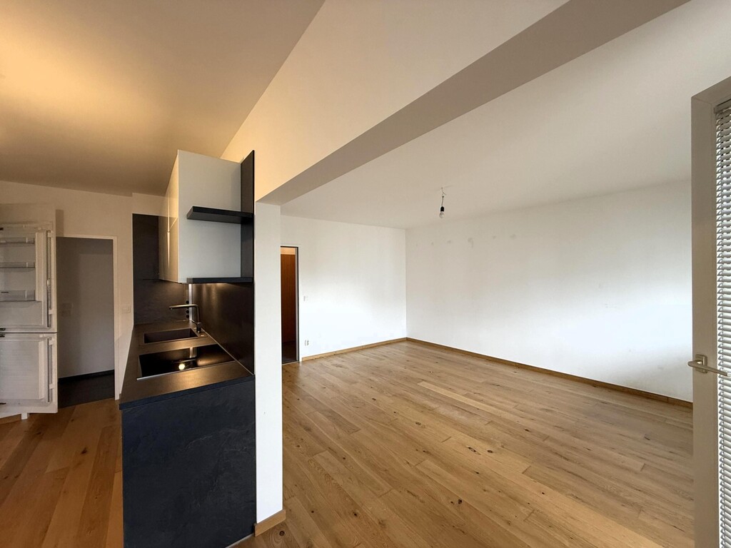 moderne Küche mit angeschlossenem Wohnzimmer