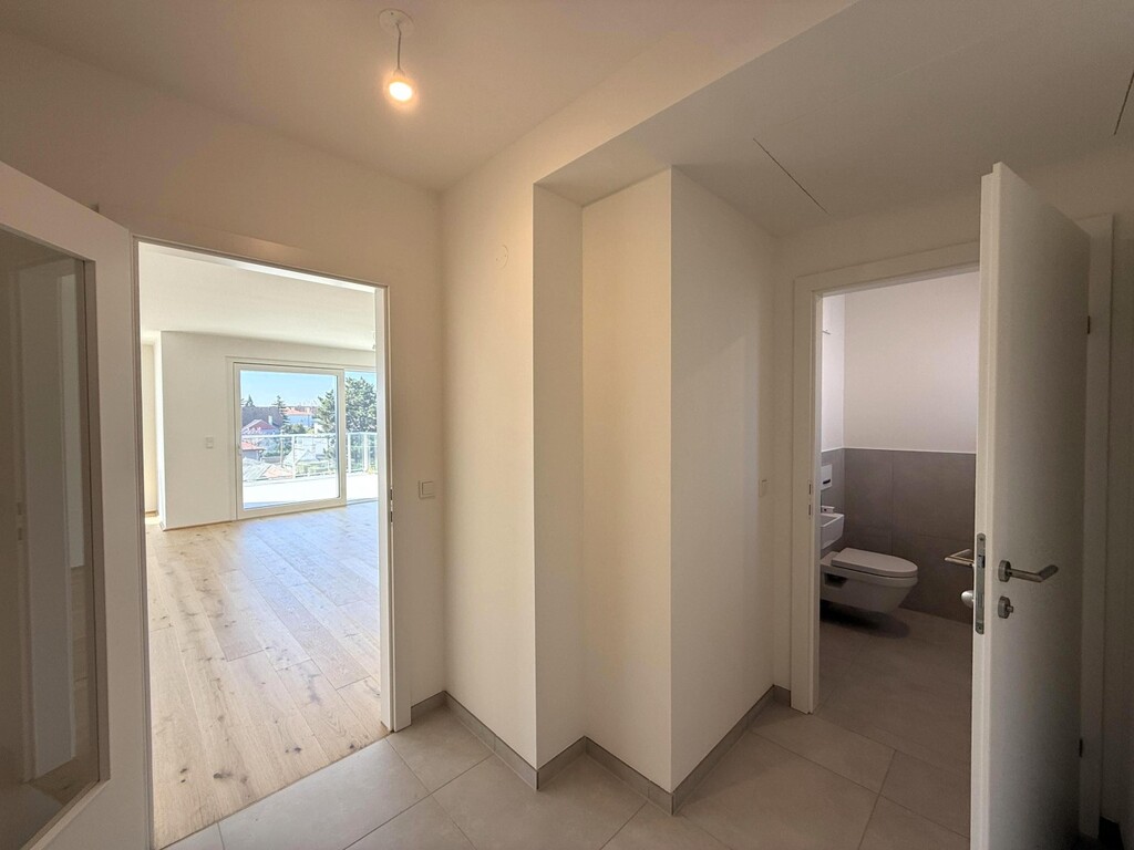 Wohnungseingang/Gäste-WC/Einblick WZ