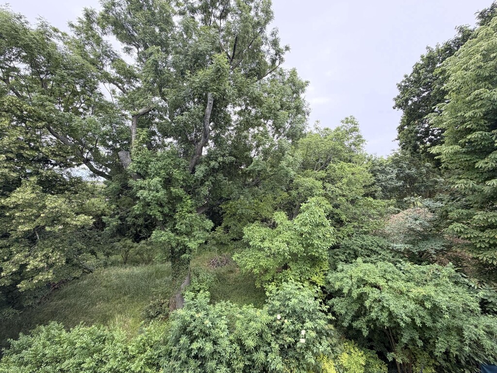 Schlafzimmer 2 von 2, Ausblick
