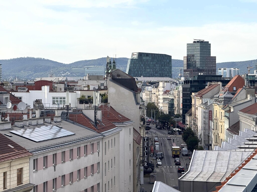 Dachterrasse 2/2 - Ausblick auf Wien Mitte