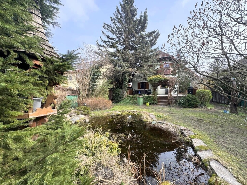 Teich im Garten