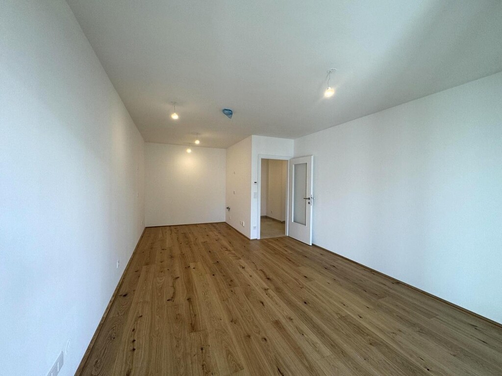 Wohn-/Essküche
