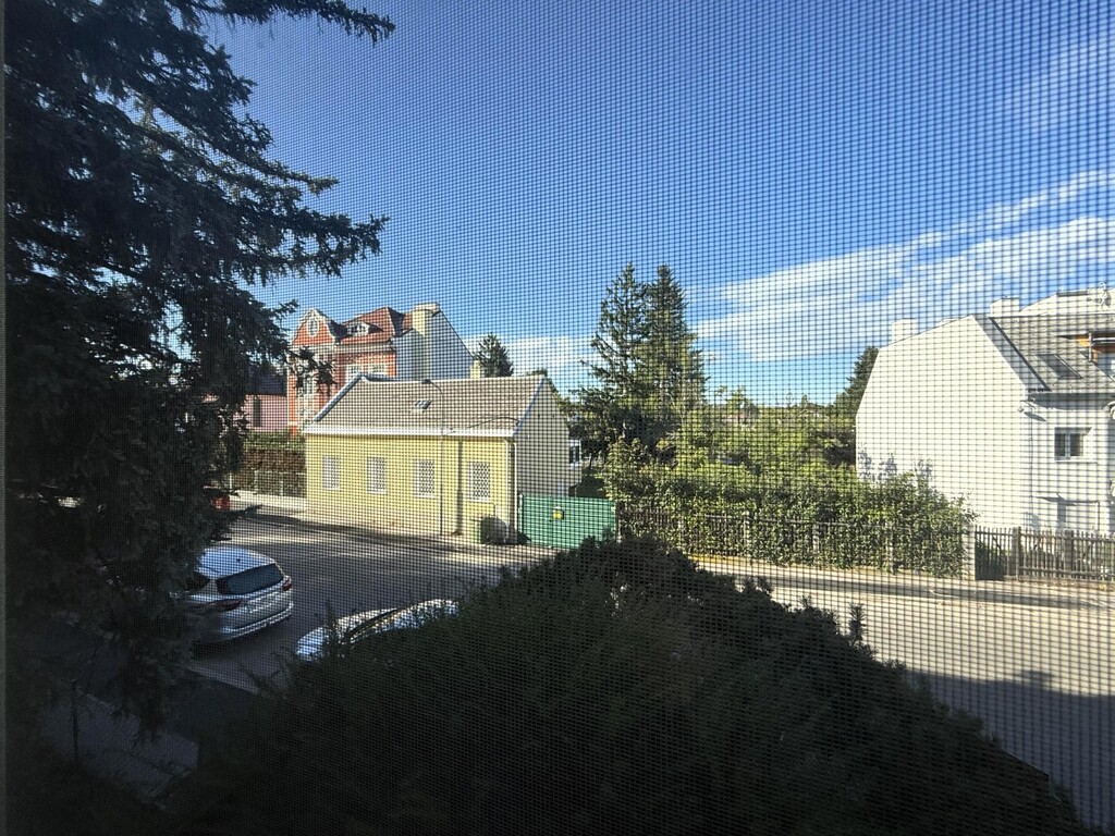 Ausblick vom Schlafzimmer 1 von 2/Insektengitter