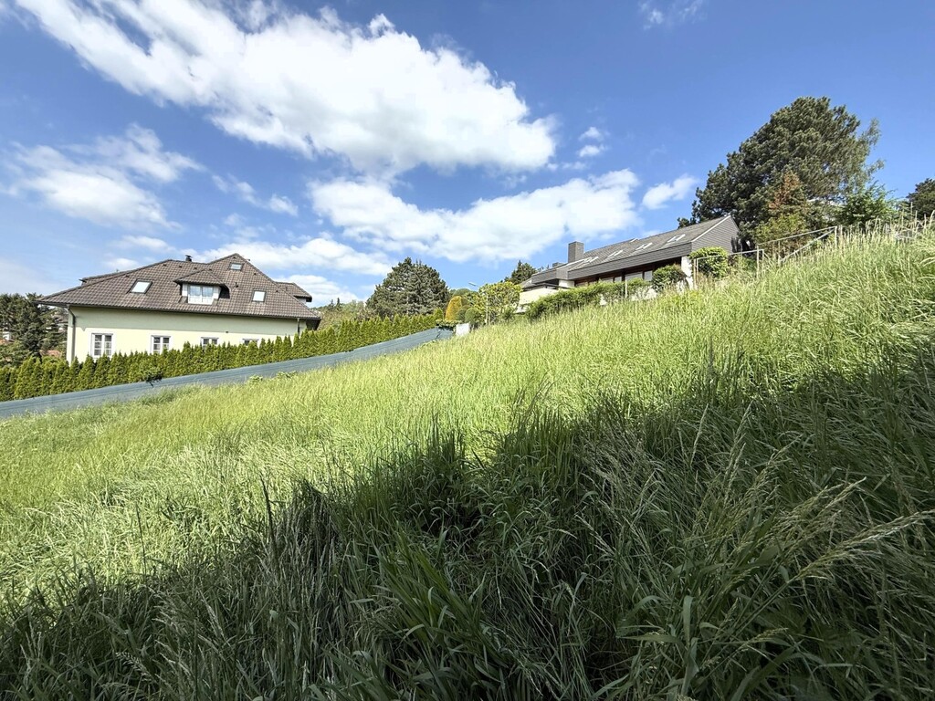 süd-westliche Ansicht des Baugrundstücks