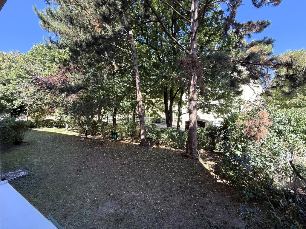 Gemeinschaftsgarten/Blick aus dem Wohnzimmer