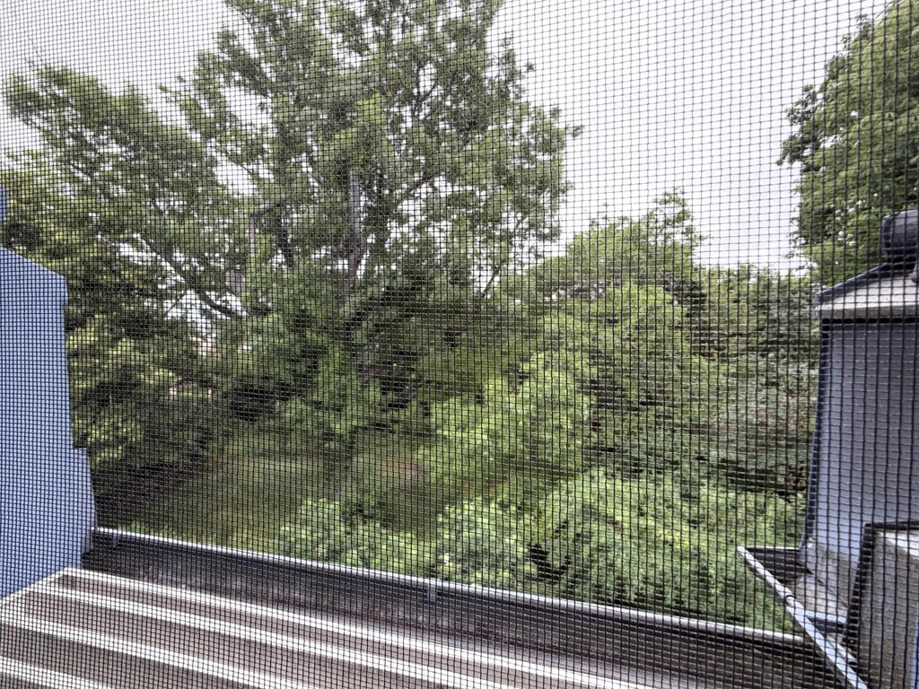 Schlafzimmer 1 von 2/Ausblick, Insektengitter