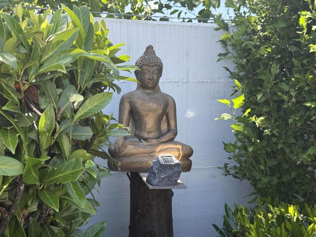 OG/BUDDHA-Statue im Dachgarten