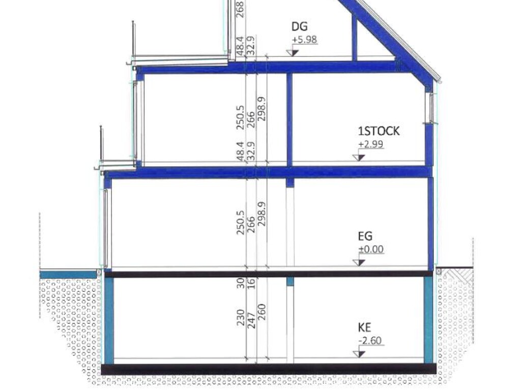 Plan-Haus-2-Schnitt