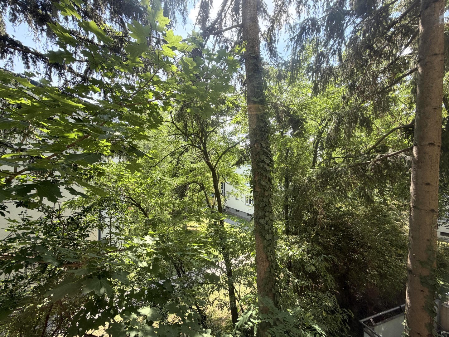 Ausblick vom Kabinett 1 von 2
