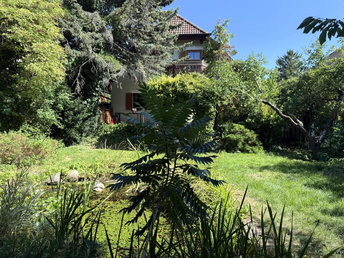 Gartenansicht